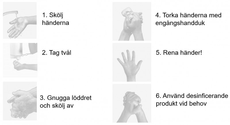 Coronavirus covid-19: Stanna hemma vid sjukdom